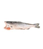 Pink (Hump-Back) Salmon