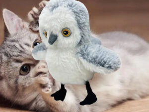 04663688-ed3a-44ec-8e4d-791c36372aac Interactive Cat Plush Toys For Indoor Cats Automatic Flapping Bird Cat Toy USB Rechargeable Electronic Pet Enrichment Toys