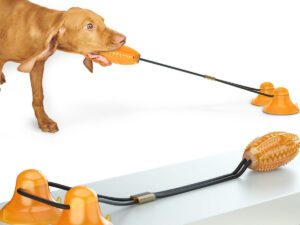 Multifunction Double Tug Rope Balls Sucker Toy Dog Molar Bite Toys
