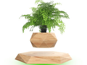 Magnetic Floating Bonsai Floating Plant Rack, Fashion Creative Gifts, Christmas Or Birthday Gifts
