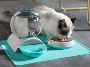 Pet feeding waterer