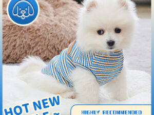 New Arrival Cooling Vest For Dog Designer Dog Clothes Chihuahua Small Dog Summer  Pet Items Dog Pet Shirt Dog Fashion Outfit