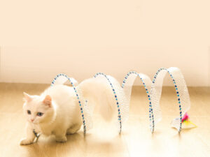 67719444-e706-4fa5-b174-9ae72061ed19 Foldable Storage Of Cat Tunnel Toys