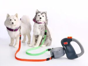 Retractable Dual Pet Dog Walking Leash