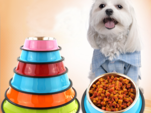 pet bowl pet feeding basin
