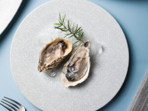 Nordic Speciality Hotel Restaurant Ceramic Plate Matte White