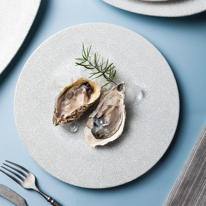 845f43be-dfd4-4955-9198-4c90ae32905f Nordic Speciality Hotel Restaurant Ceramic Plate Matte White