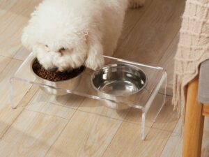 Acrylic Dogs And Cats Pet Feeder Small Cat Dog Feeding Rack