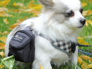 Fashion Personality Pet Supplies Dog Bag Fashion Personality Pet Supplies Dog Bag