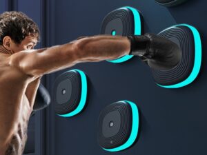 Home Smart Split Bluetooth Music Boxing Target