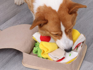 Household Fashion Dog Sniffing Toys
