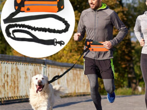 Pet Purse Leash For Dog Walking