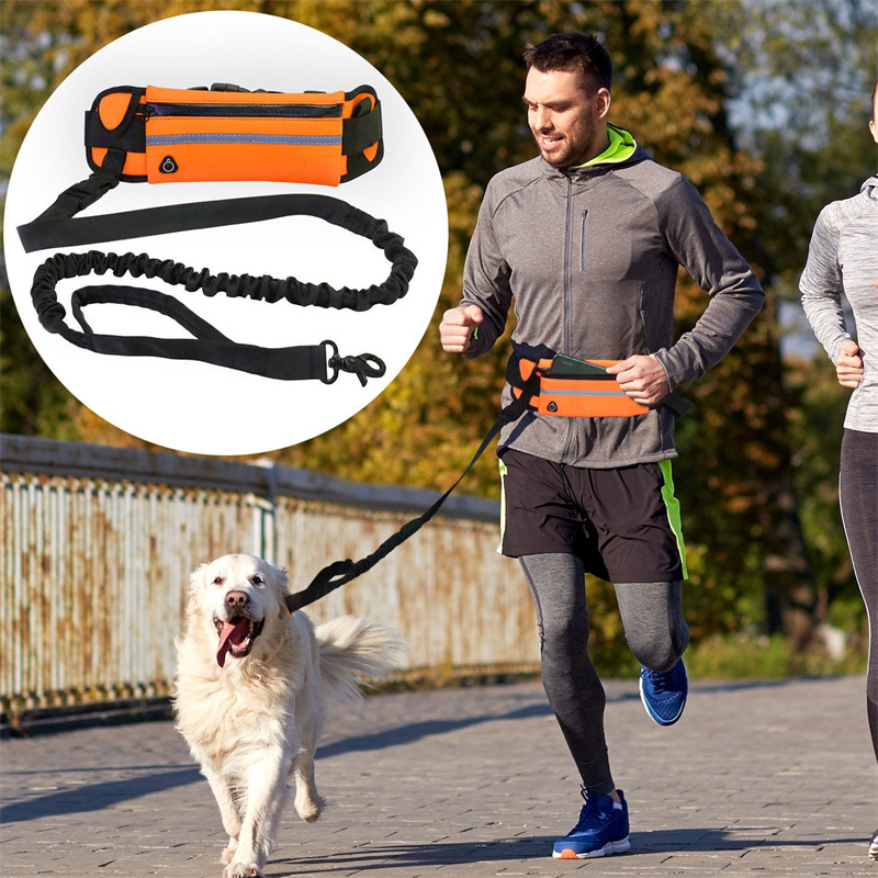 eacd3e1a-1d0f-4188-8538-6920e809f9cc Pet Purse Leash For Dog Walking